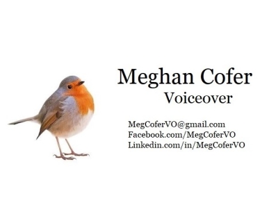 Professional American English Voiceover 