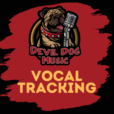 Record Perfect Male Vocals for your next Country Rock or Blues Song